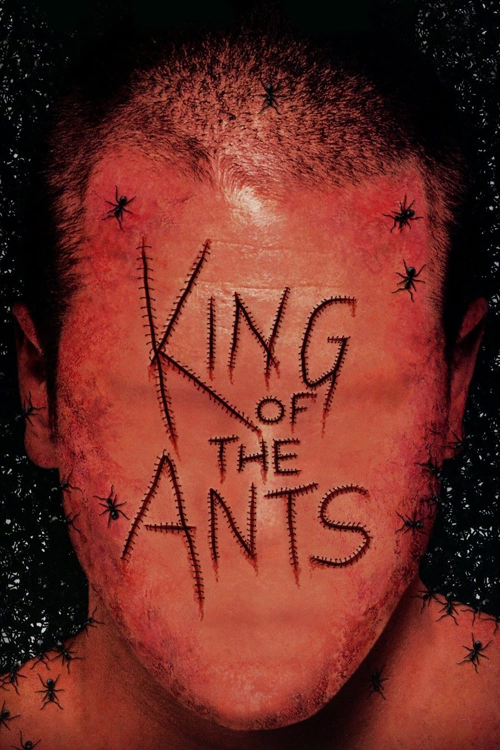 постер Король муравьёв